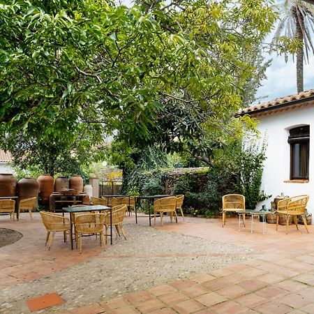 Apartamentos Turisticos El Patio Del Nogal Guadalupe  Eksteriør billede