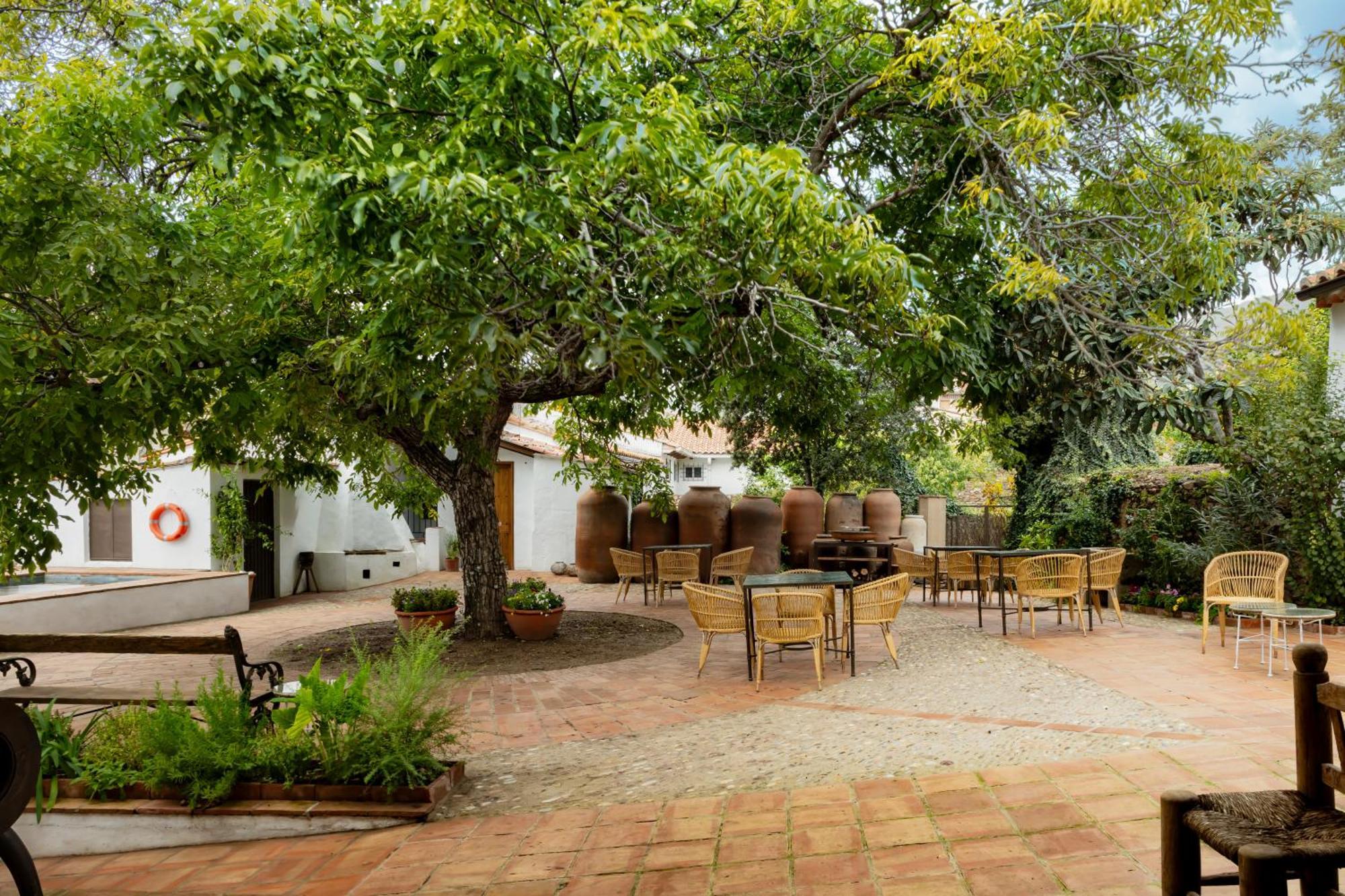 Apartamentos Turisticos El Patio Del Nogal Guadalupe  Eksteriør billede