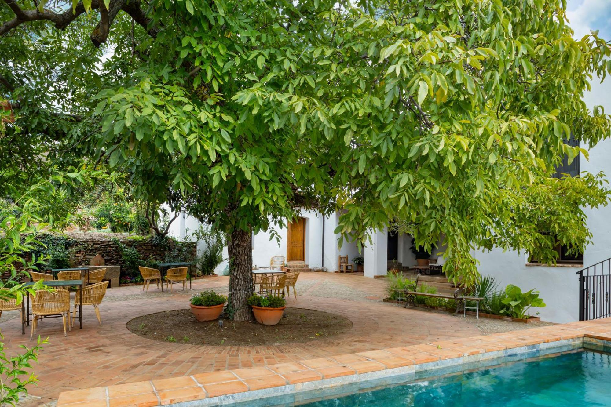 Apartamentos Turisticos El Patio Del Nogal Guadalupe  Eksteriør billede