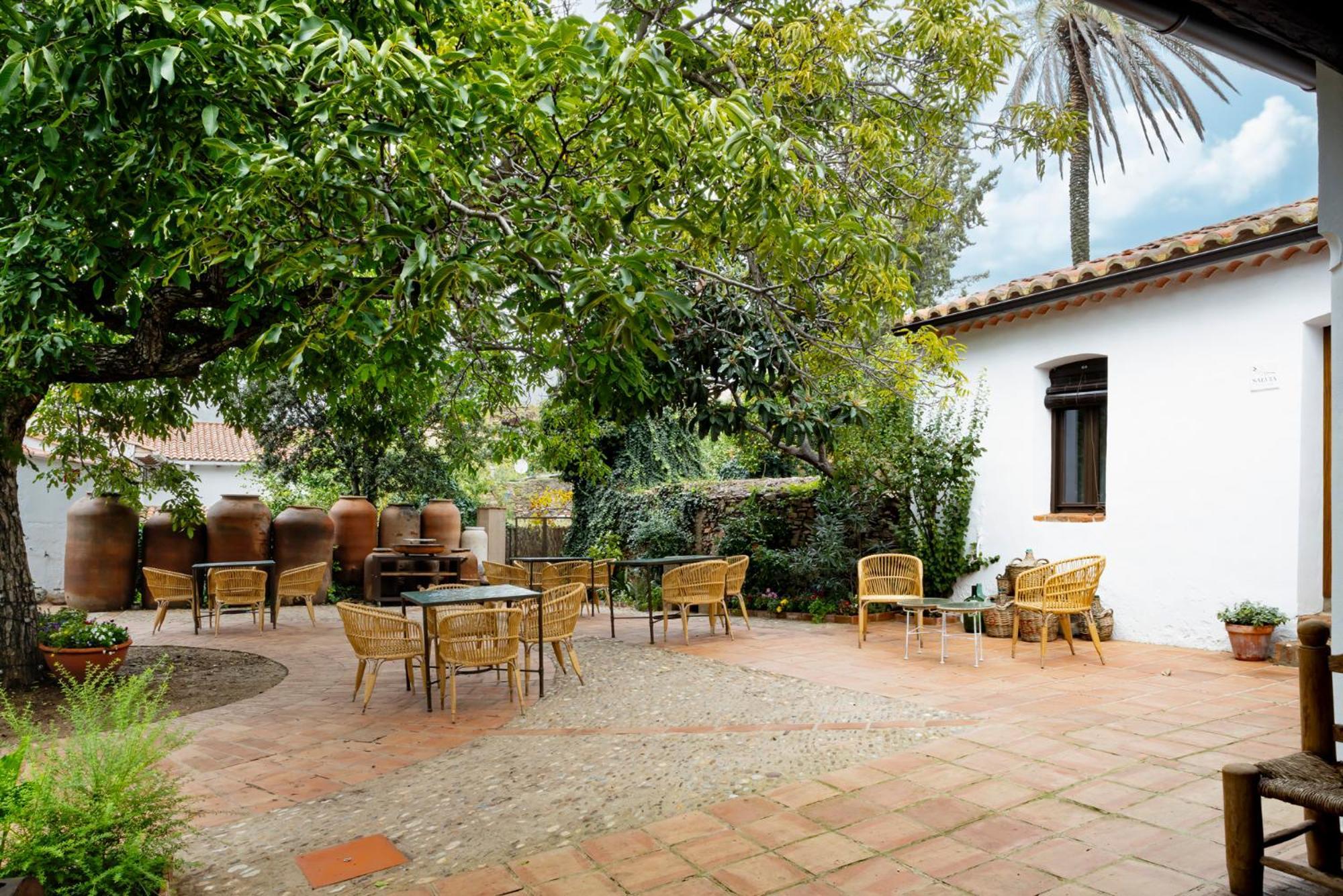 Apartamentos Turisticos El Patio Del Nogal Guadalupe  Eksteriør billede